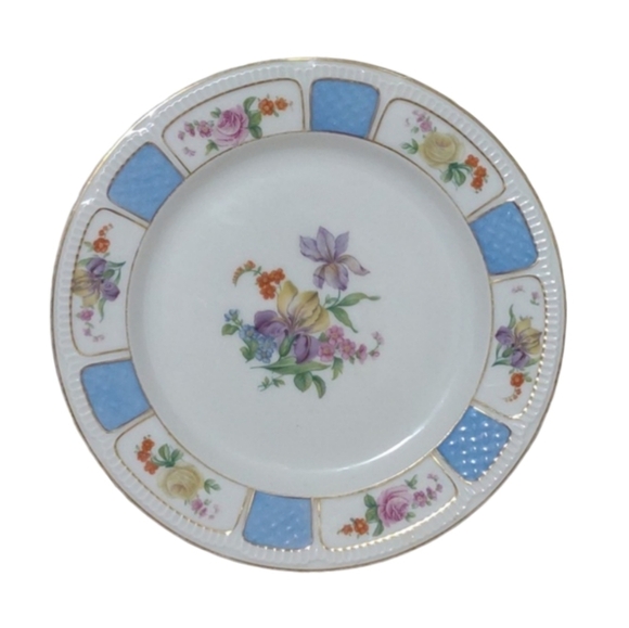 Antique Haas & Czjzek H.C. Schlaggenwald Black Knight Plate Gold Trim - Picture 1 of 11